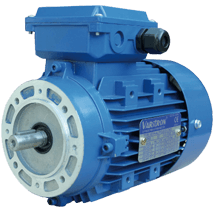 AEVH-ALB14-Induction-Electric-Motor