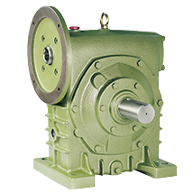 HMW-Worm-Gear-Reducer