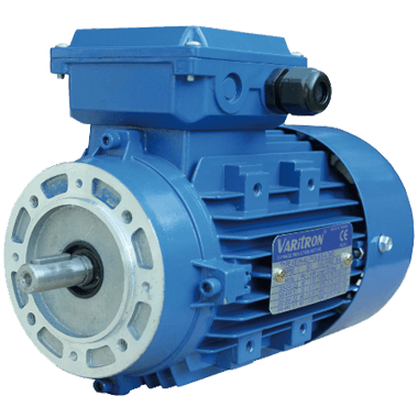 AEVH-ALB14-Induction-Electric-Motor